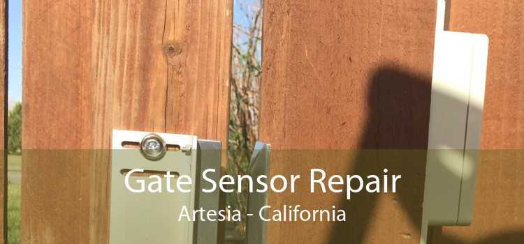 Gate Sensor Repair Artesia - California