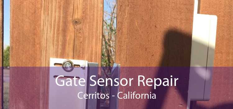 Gate Sensor Repair Cerritos - California