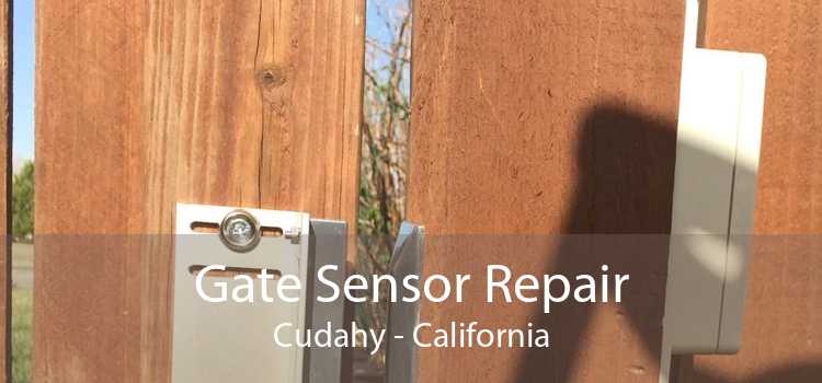 Gate Sensor Repair Cudahy - California
