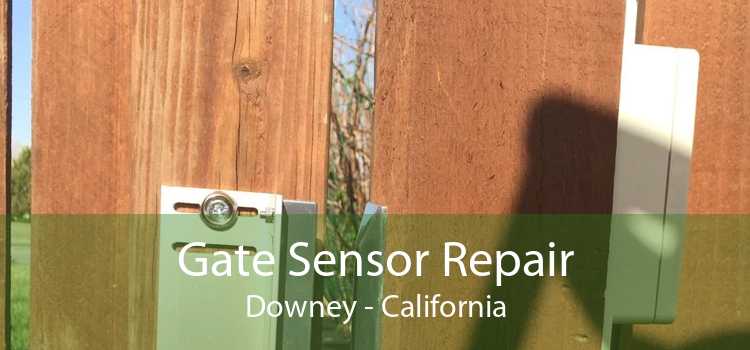 Gate Sensor Repair Downey - California