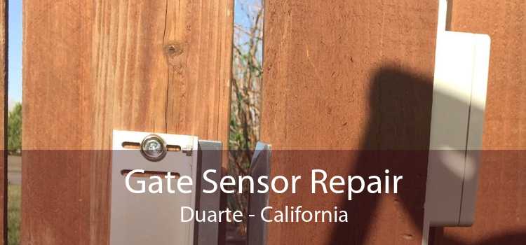 Gate Sensor Repair Duarte - California