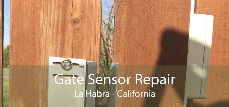 Gate Sensor Repair La Habra - California