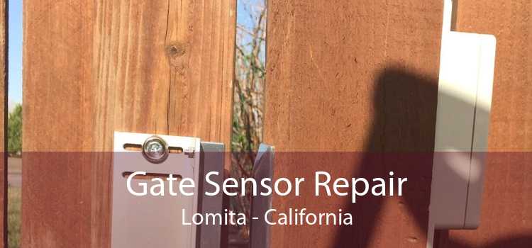 Gate Sensor Repair Lomita - California