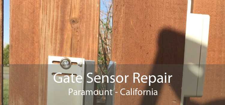 Gate Sensor Repair Paramount - California