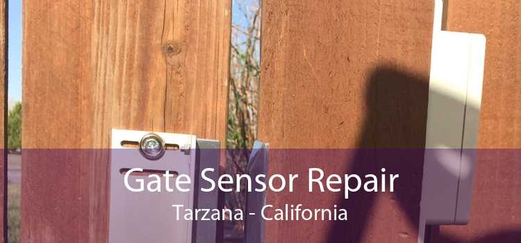 Gate Sensor Repair Tarzana - California