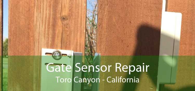 Gate Sensor Repair Toro Canyon - California
