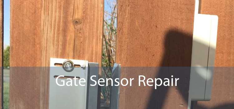 Gate Sensor Repair 