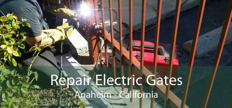 Repair Electric Gates Anaheim - California