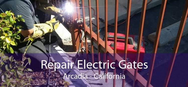 Repair Electric Gates Arcadia - California