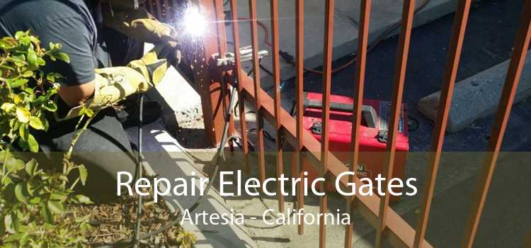 Repair Electric Gates Artesia - California