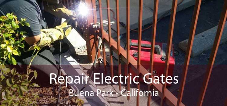 Repair Electric Gates Buena Park - California