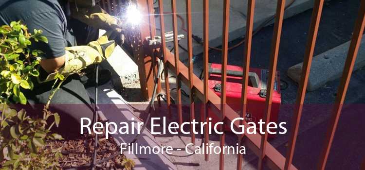 Repair Electric Gates Fillmore - California
