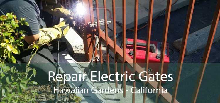 Repair Electric Gates Hawaiian Gardens - California