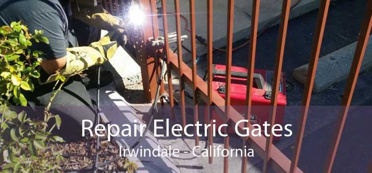 Repair Electric Gates Irwindale - California