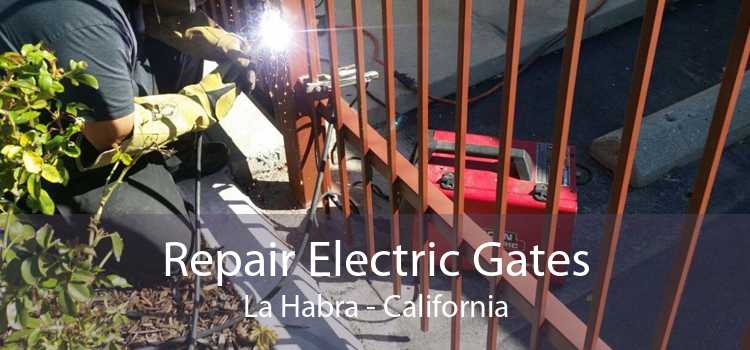 Repair Electric Gates La Habra - California