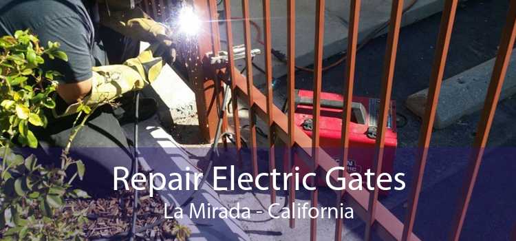 Repair Electric Gates La Mirada - California