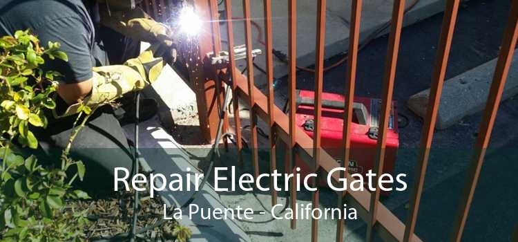Repair Electric Gates La Puente - California