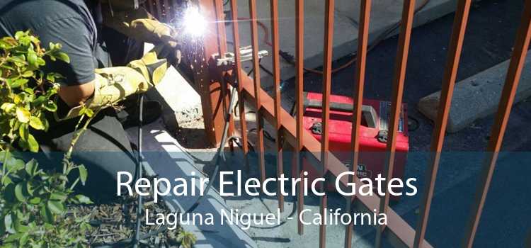 Repair Electric Gates Laguna Niguel - California