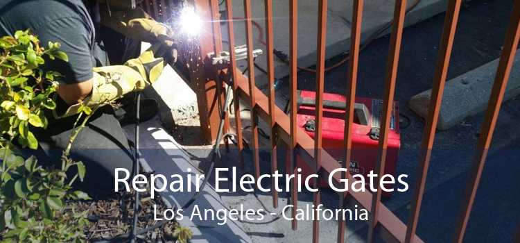 Repair Electric Gates Los Angeles - California
