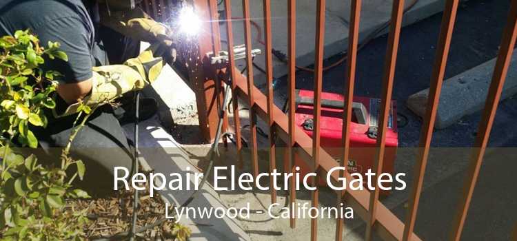 Repair Electric Gates Lynwood - California