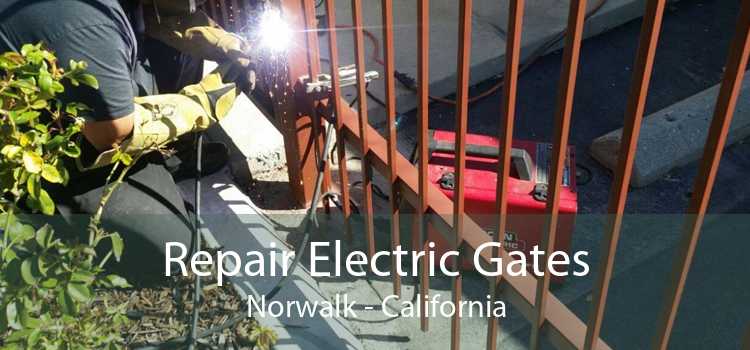 Repair Electric Gates Norwalk - California