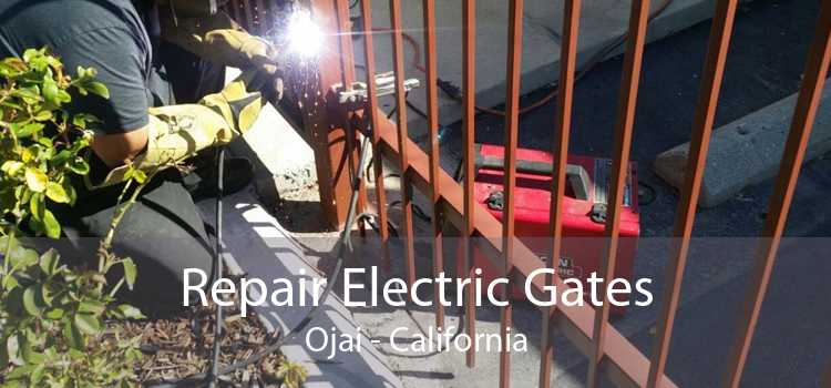 Repair Electric Gates Ojai - California