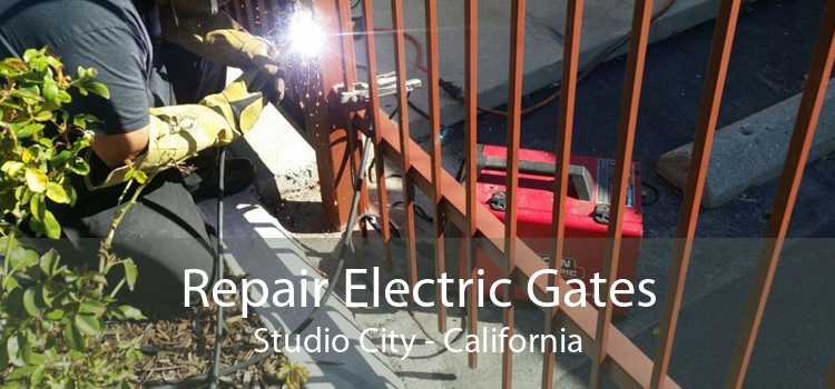 Repair Electric Gates Studio City - California