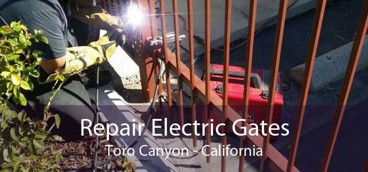 Repair Electric Gates Toro Canyon - California