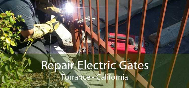 Repair Electric Gates Torrance - California