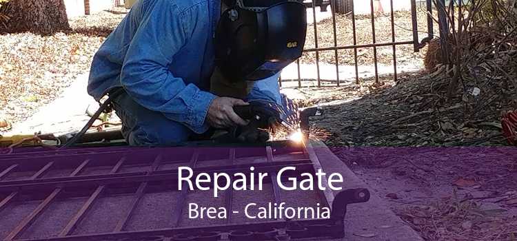 Repair Gate Brea - California