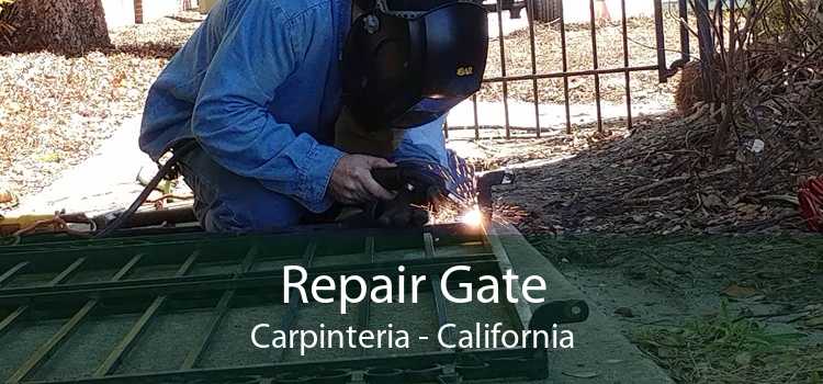 Repair Gate Carpinteria - California