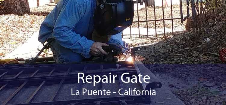 Repair Gate La Puente - California