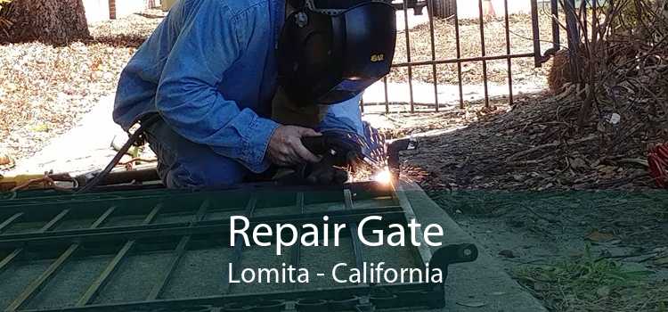 Repair Gate Lomita - California