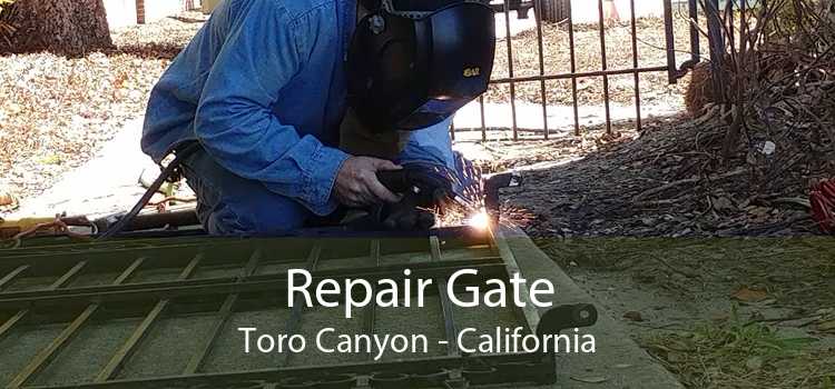 Repair Gate Toro Canyon - California