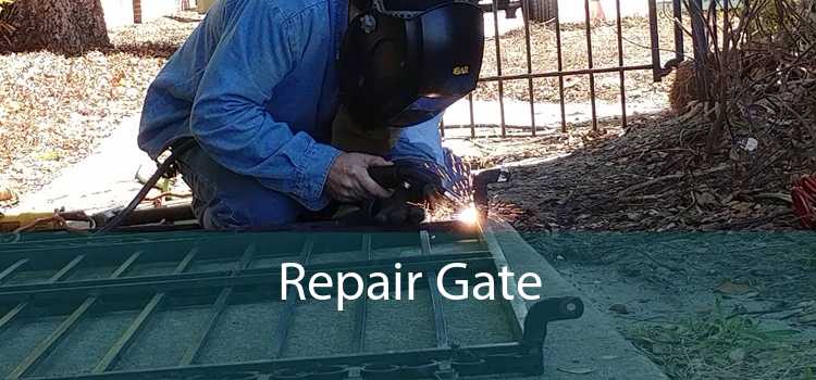 Repair Gate 